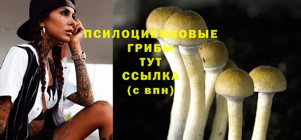 МДПВ Алзамай