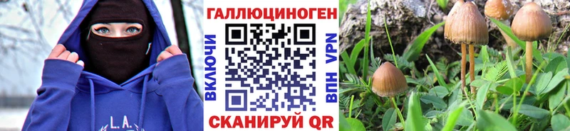 MEGA как войти закладка Перевоз Псилоцибиновые грибы мицелий